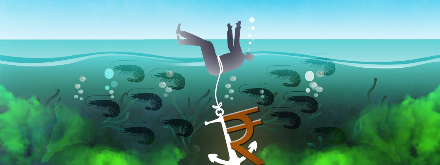 Debts and Ecological Destruction